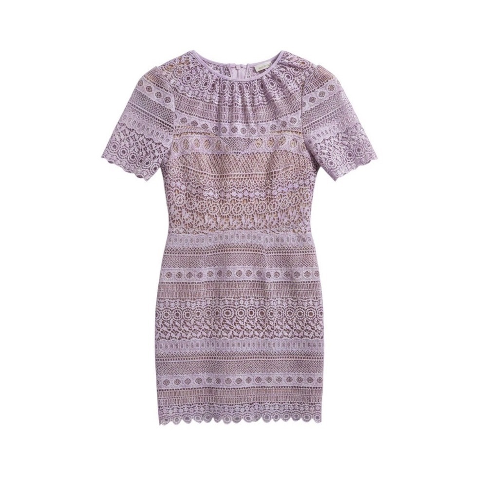 Dee Elly Lavender Lace Mini Dress Short Sleeve Purple Small feminine chic party
